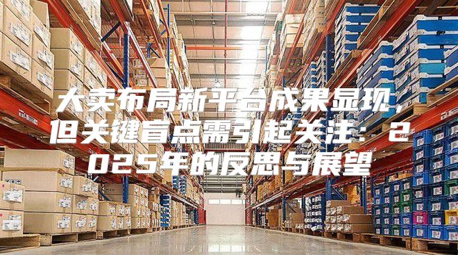 大卖布局新平台成果显现，但关键盲点需引起关注：2025年的反思与展望