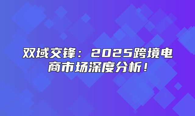 双域交锋：2025跨境电商市场深度分析！
