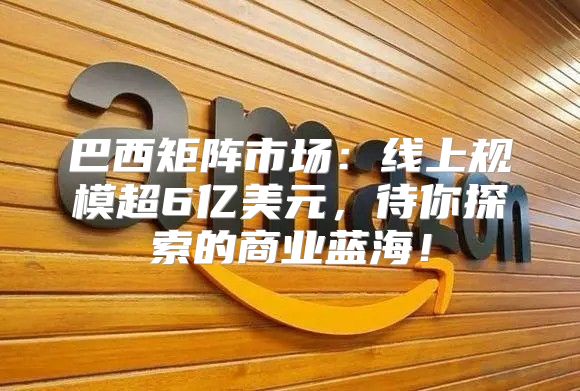 巴西矩阵市场：线上规模超6亿美元，待你探索的商业蓝海！