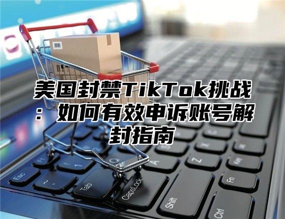 美国封禁TikTok挑战：如何有效申诉账号解封指南
