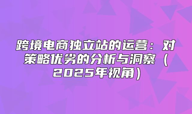 跨境电商独立站的运营：对策略优劣的分析与洞察2025年视角