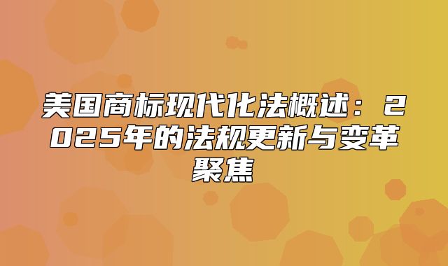 美国商标现代化法概述：2025年的法规更新与变革聚焦