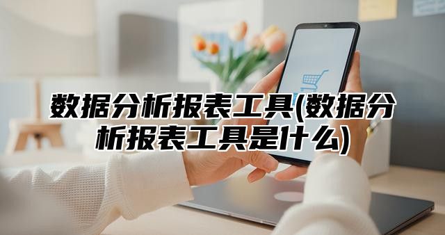 数据分析报表工具(数据分析报表工具是什么)