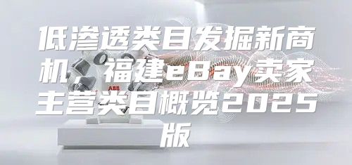 低渗透类目发掘新商机，福建eBay卖家主营类目概览2025版