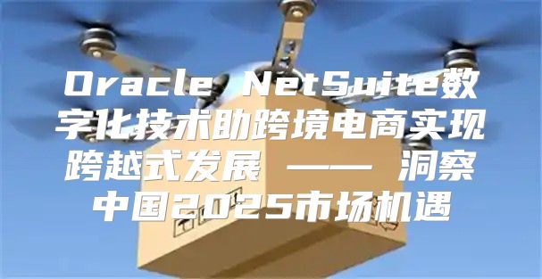 Oracle NetSuite数字化技术助跨境电商实现跨越式发展 —— 洞察中国2025市场机遇