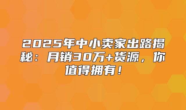 2025年中小卖家出路揭秘：月销30万+货源，你值得拥有！