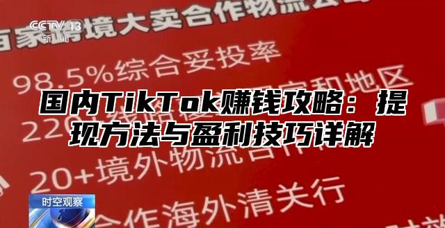 国内TikTok赚钱攻略：提现方法与盈利技巧详解