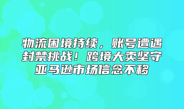 物流困境持续，账号遭遇封禁挑战！跨境大卖坚守亚马逊市场信念不移