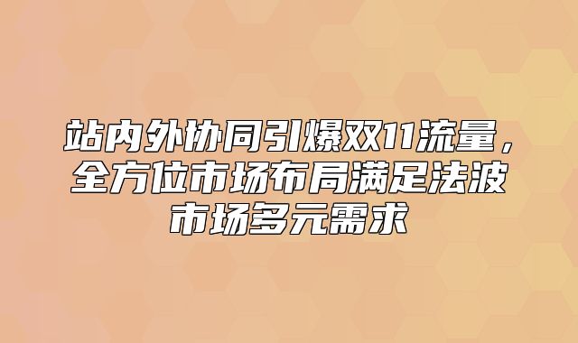 站内外协同引爆双11流量，全方位市场布局满足法波市场多元需求