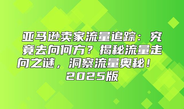 亚马逊卖家流量追踪：究竟去向何方？揭秘流量走向之谜，洞察流量奥秘！ 2025版