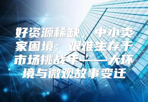好资源稀缺，中小卖家困境：艰难生存于市场挑战年——大环境与微观故事变迁