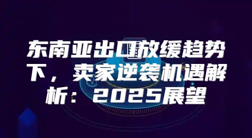 东南亚出口放缓趋势下，卖家逆袭机遇解析：2025展望