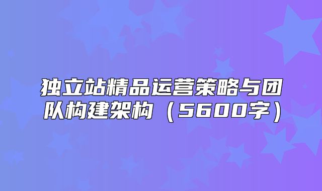 独立站精品运营策略与团队构建架构5600字