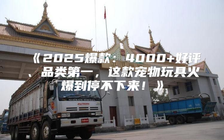 2025爆款：4000+好评、品类第一，这款宠物玩具火爆到停不下来！