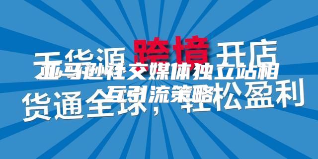 亚马逊社交媒体独立站相互引流策略