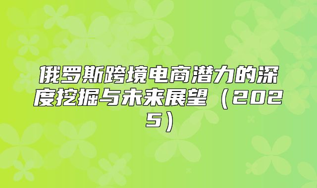 俄罗斯跨境电商潜力的深度挖掘与未来展望2025