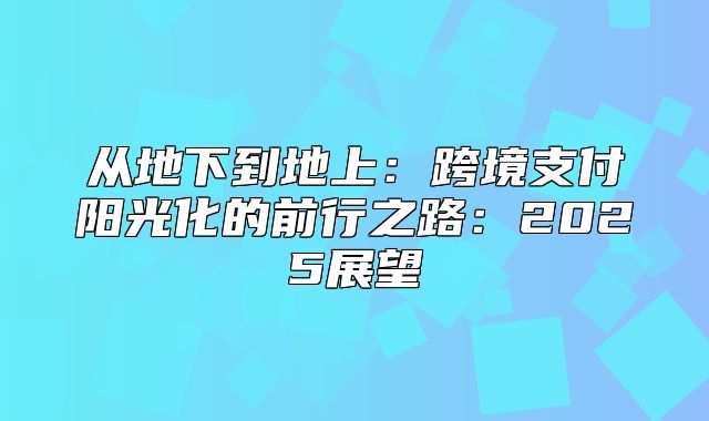 从地下到地上：跨境支付阳光化的前行之路：2025展望