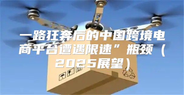一路狂奔后的中国跨境电商平台遭遇限速”瓶颈2025展望