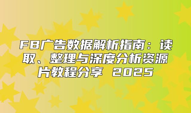 FB广告数据解析指南：读取、整理与深度分析资源片教程分享 2025