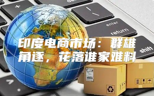 印度电商市场：群雄角逐，花落谁家难料