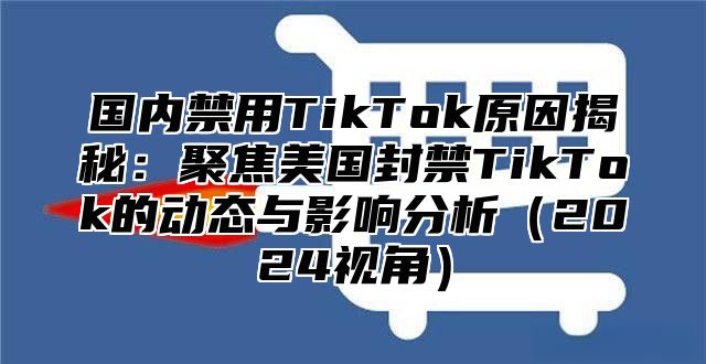 国内禁用TikTok原因揭秘：聚焦美国封禁TikTok的动态与影响分析2025视角