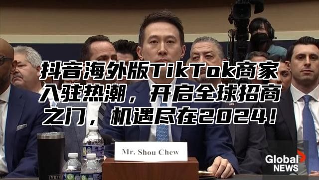 抖音海外版TikTok商家入驻热潮，开启全球招商之门，机遇尽在2025！