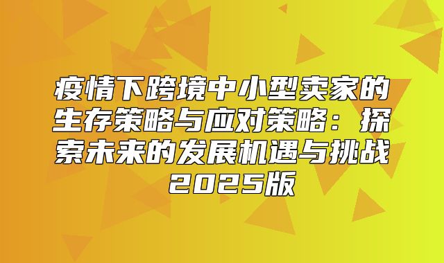疫情下跨境中小型卖家的生存策略与应对策略：探索未来的发展机遇与挑战 2025版