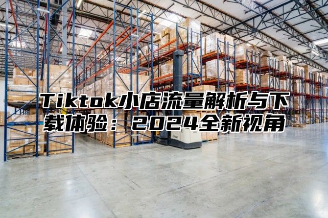Tiktok小店流量解析与下载体验：2025全新视角