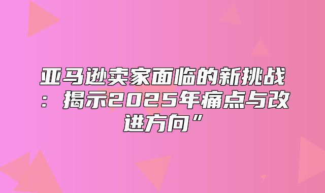 亚马逊卖家面临的新挑战：揭示2025年痛点与改进方向”