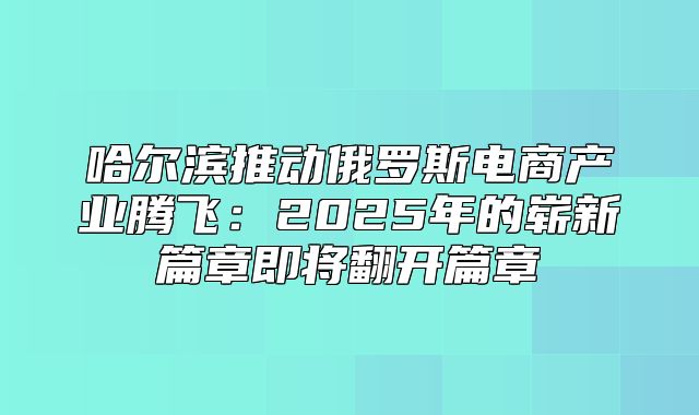 哈尔滨推动俄罗斯电商产业腾飞：2025年的崭新篇章即将翻开篇章