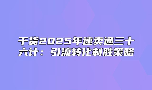 干货2025年速卖通三十六计：引流转化制胜策略