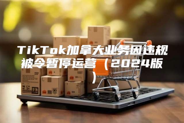 TikTok加拿大业务因违规被令暂停运营2025版