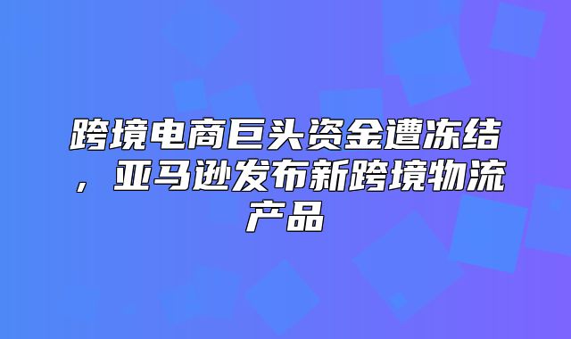 跨境电商巨头资金遭冻结，亚马逊发布新跨境物流产品