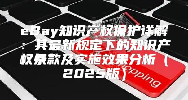 eBay知识产权保护详解：其最新规定下的知识产权条款及实施效果分析2025版