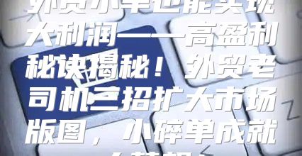 外贸小单也能实现大利润——高盈利秘诀揭秘！外贸老司机三招扩大市场版图，小碎单成就大梦想！