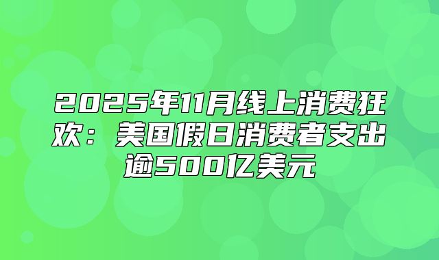 2025年11月线上消费狂欢：美国假日消费者支出逾500亿美元
