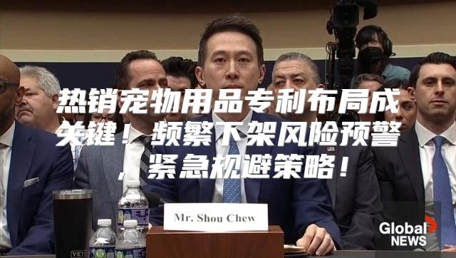 热销宠物用品专利布局成关键！频繁下架风险预警，紧急规避策略！