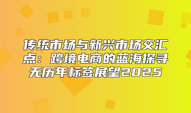 传统市场与新兴市场交汇点：跨境电商的蓝海探寻无历年标签展望2025