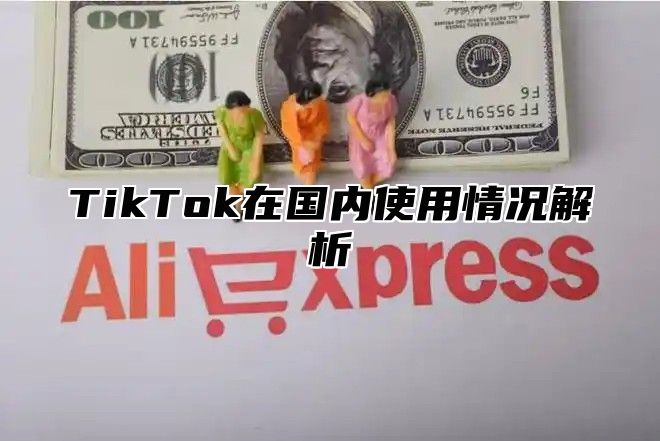 TikTok在国内使用情况解析