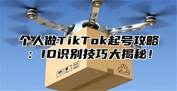 个人做TikTok起号攻略：ID识别技巧大揭秘！