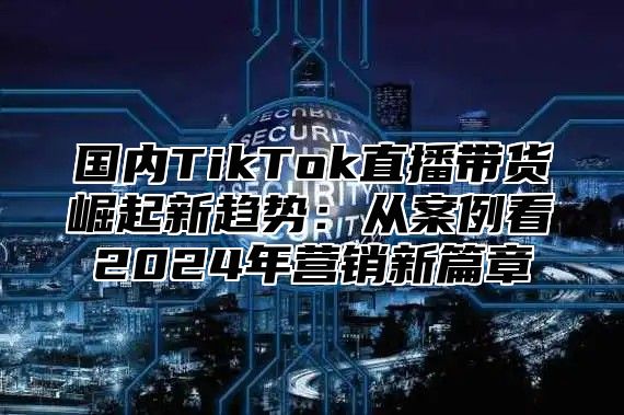 国内TikTok直播带货崛起新趋势：从案例看2025年营销新篇章