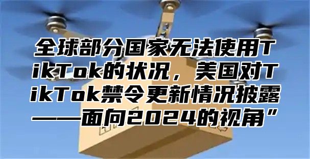 全球部分国家无法使用TikTok的状况，美国对TikTok禁令更新情况披露——面向2025的视角”