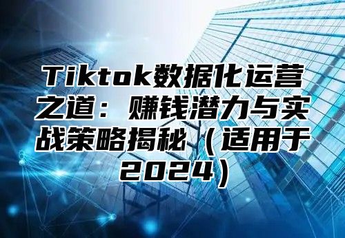 Tiktok数据化运营之道：赚钱潜力与实战策略揭秘适用于2025