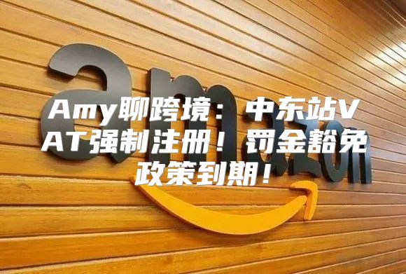 Amy聊跨境：中东站VAT强制注册！罚金豁免政策到期！