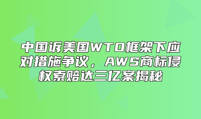 中国诉美国WTO框架下应对措施争议，AWS商标侵权索赔达三亿案揭秘