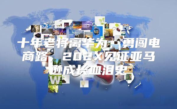 十年老将离华为，勇闯电商路，202X见证亚马逊成长血泪史