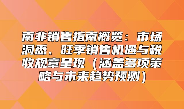 南非销售指南概览：市场洞悉、旺季销售机遇与税收规章呈现涵盖多项策略与未来趋势预测