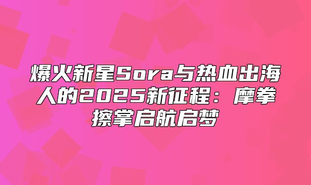 爆火新星Sora与热血出海人的2025新征程：摩拳擦掌启航启梦