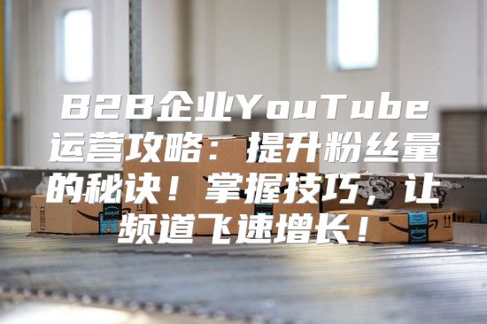 B2B企业YouTube运营攻略：提升粉丝量的秘诀！掌握技巧，让频道飞速增长！