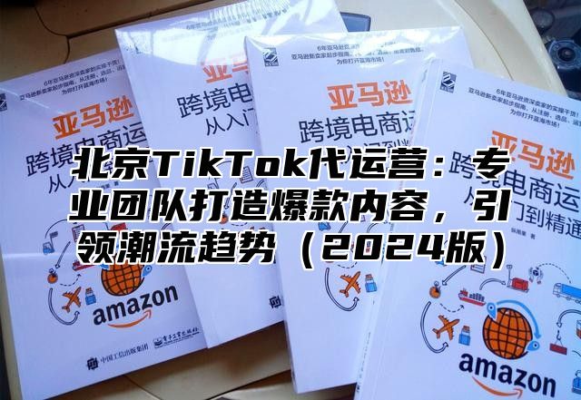 北京TikTok代运营：专业团队打造爆款内容，引领潮流趋势2025版